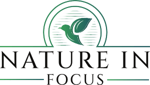 Nature in Focus